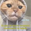 Señor Gato
El plan de dormir temprano
nuevamente ha fallado.