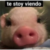 te stoy viendo