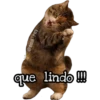 michis 🐱 (👑 @emil_rey_ ) 16