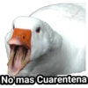 No mas Cuarentena