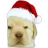 Memes Navideños  2 13