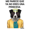 Me parece que... 12