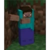 Minecraft 14