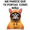 Me parece que... 13