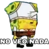 NO VEO NADA