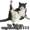 michis 🐱 (👑 @emil_rey_ ) 23