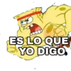ES LO QUE YO DIGO