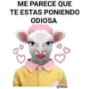 Me parece que... 14