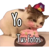 Yo
Tus fotos