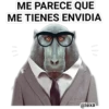 Me parece que... 15