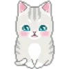 Cute Cats 21