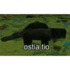 ostia tio