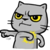 Apenas um gato 11