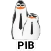 PIB