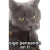 michis 🐱 (👑 @emil_rey_ ) 25