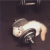 Falla en el gym