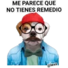 Me parece que... 19