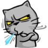 Apenas um gato 12