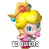 Mario Bros 2 21