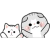 Cute Cats 24