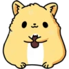 ️Hamsterlove 24
