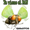 Variedad de stickers 21