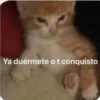Ya duérmete o t conquisto