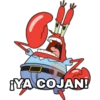 Z ¡YA COJAN!