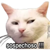 michis 🐱 (👑 @emil_rey_ ) 26