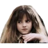 Harry Potter (by Estrella AA) 15