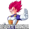 DESPIDETE SABANDIJA