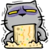 Apenas um gato 17