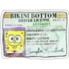 BIKINI BOTTOM
DRIVER LICENSE CLASS S
A1356021
ENPRES 15-10
SPONGEBOE SQLAREPANTS
124 CONCIEST.
BIKINI BOTTOM
SpenayBt S hante