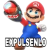 Mario Bros 1 29