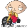 Llegué perras