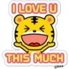 Little tiger 28