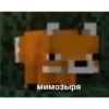 мимозыря