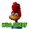 WUA Q SEXY