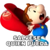 Mario Bros 2 26