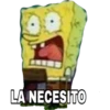 LA NECESITO