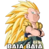 BAIA BAIA
