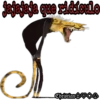 Variedad de stickers 24