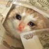 Lágrimas de dinero