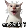 michis 🐱 (👑 @emil_rey_ ) 30