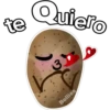 Quiero
te
Bellies