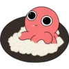 Seal Octy Food 27