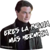 ERES LA BRUJA
MÁS HERMOSA
@josejuanir98