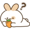 Lovely Bunny bunny! 5