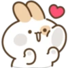 Lovely Bunny bunny! 6