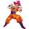 Dragon Ball super 11